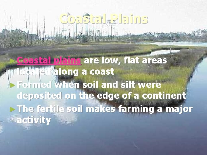 Coastal Plains ► Coastal plains are low, flat areas located along a coast ►