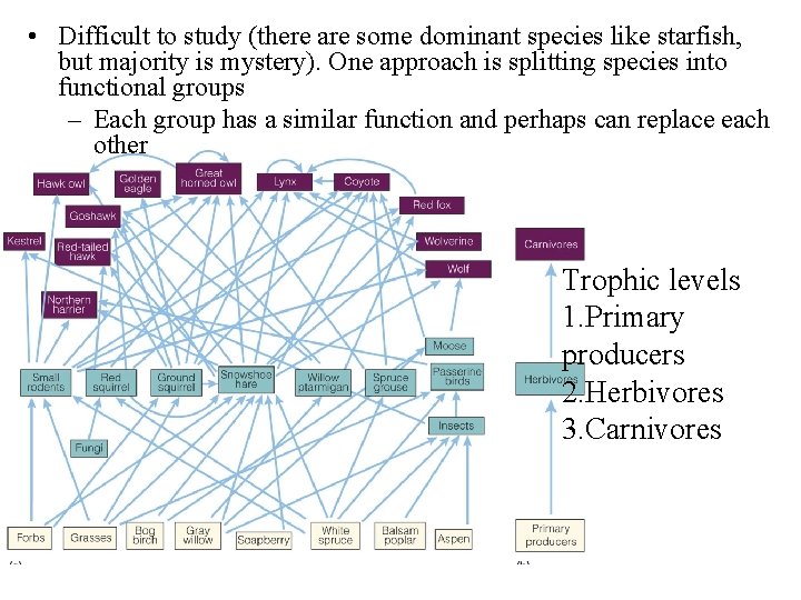  • Difficult to study (there are some dominant species like starfish, but majority