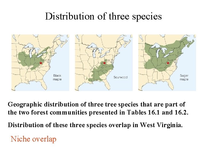 Distribution of three species Geographic distribution of three tree species that are part of