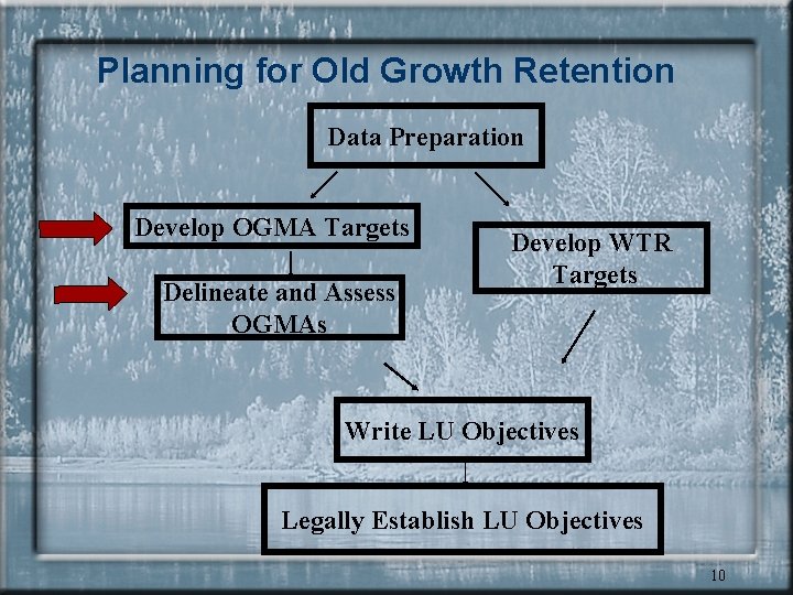 Planning for Old Growth Retention Data Preparation Develop OGMA Targets Delineate and Assess OGMAs