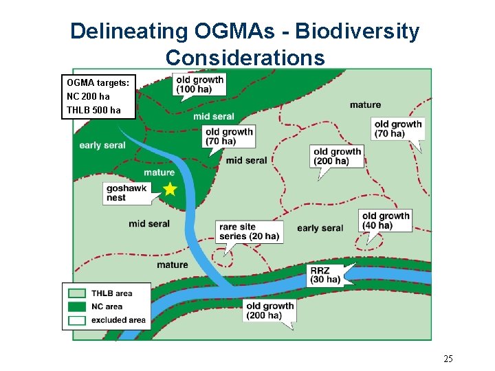 Delineating OGMAs - Biodiversity Considerations OGMA targets: NC 200 ha THLB 500 ha 25