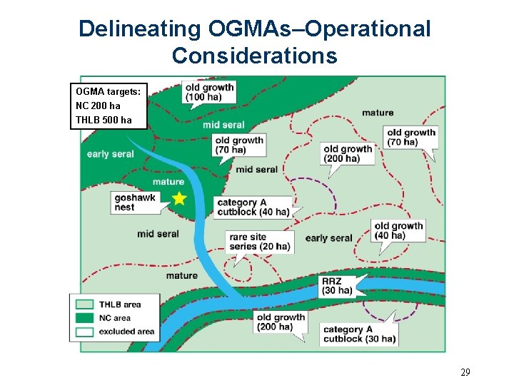 Delineating OGMAs–Operational Considerations OGMA targets: NC 200 ha THLB 500 ha 29 