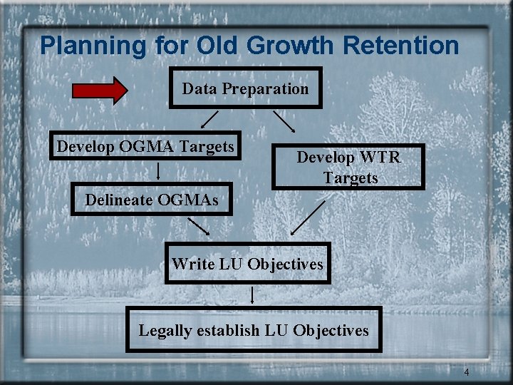 Planning for Old Growth Retention Data Preparation Develop OGMA Targets Develop WTR Targets Delineate