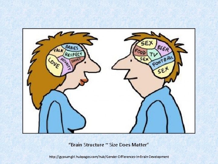 “Brain Structure ~ Size Does Matter” http: //gypsumgirl. hubpages. com/hub/Gender-Differences-In-Brain-Development 