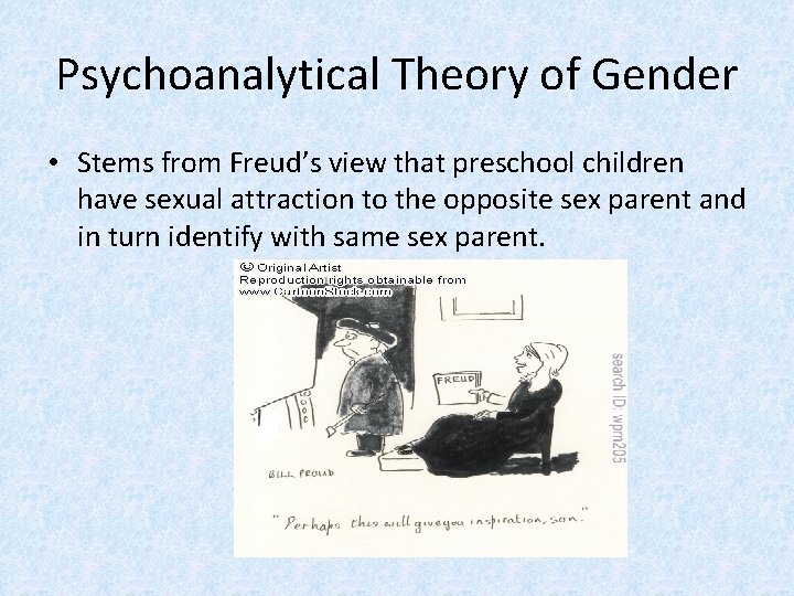 Psychoanalytical Theory of Gender • Stems from Freud’s view that preschool children have sexual