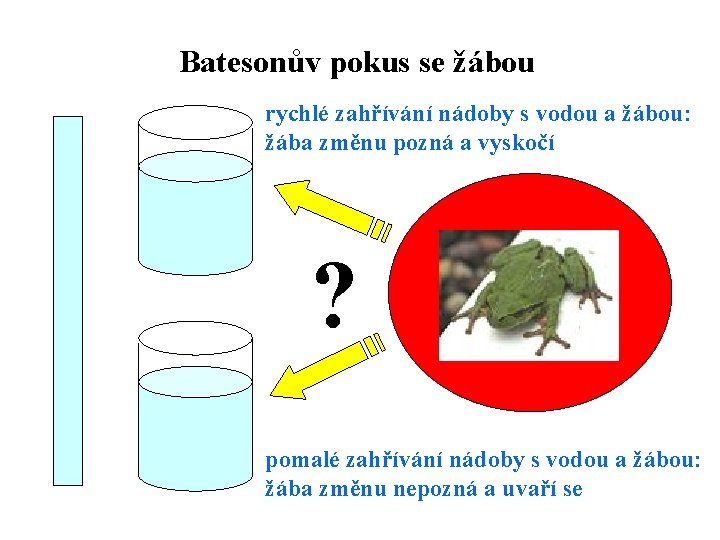 Batesonův pokus se žábou rychlé zahřívání nádoby s vodou a žábou: žába změnu pozná Batesonův pokus se žábou rychlé zahřívání nádoby s vodou a žábou: žába změnu pozná