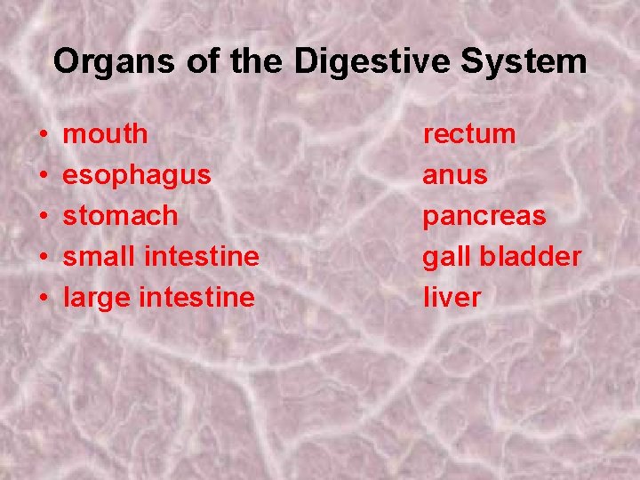 Organs of the Digestive System • • • mouth esophagus stomach small intestine large