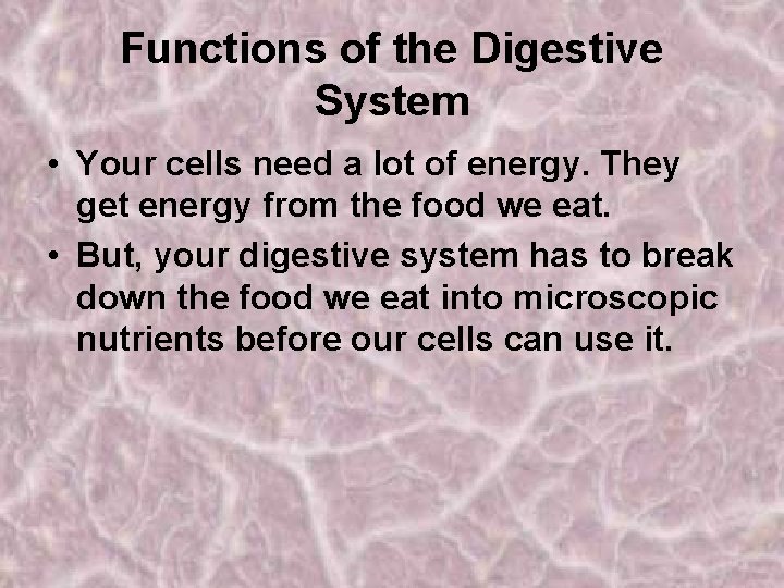 Functions of the Digestive System • Your cells need a lot of energy. They