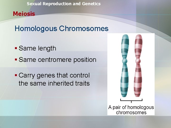 Sexual Reproduction and Genetics Meiosis Homologous Chromosomes § Same length § Same centromere position