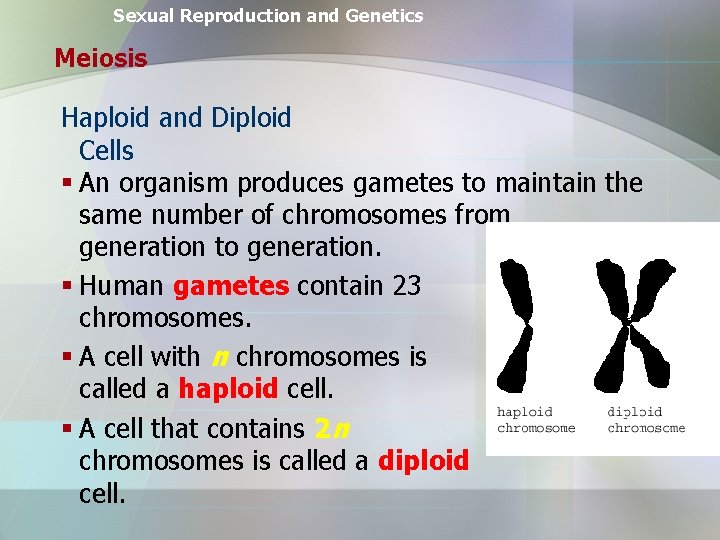 Sexual Reproduction and Genetics Meiosis Haploid and Diploid Cells § An organism produces gametes