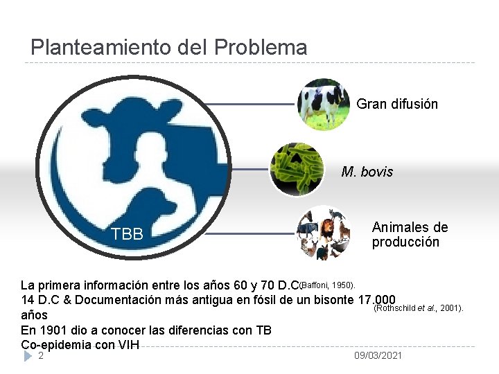 Planteamiento del Problema Gran difusión M. bovis xc TBB Animales de producción La primera