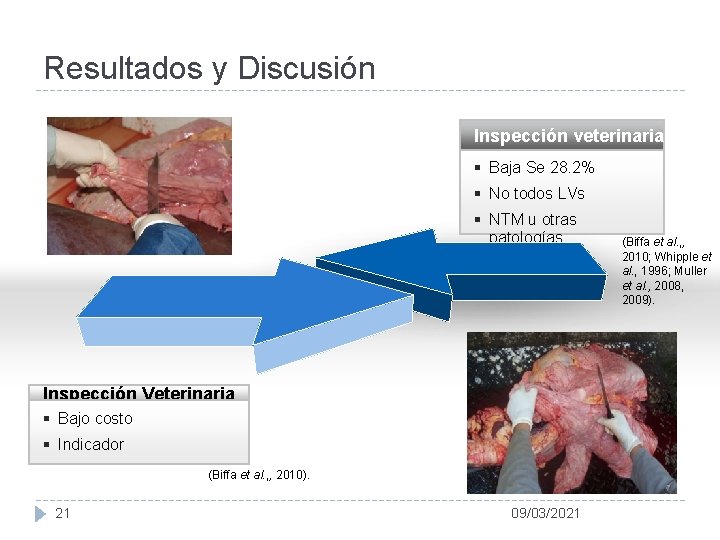 Resultados y Discusión Inspección veterinaria § Baja Se 28. 2% § No todos LVs