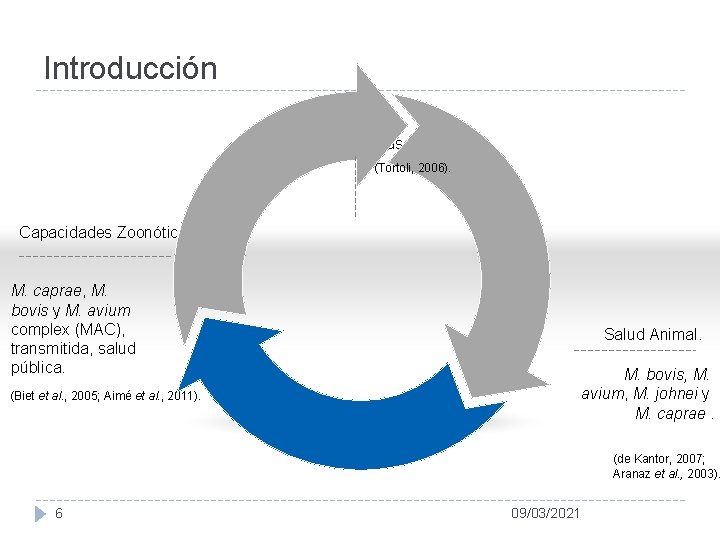 Introducción 120 especies reconocidas (Tortoli, 2006). Capacidades Zoonóticas M. caprae, M. bovis y M.