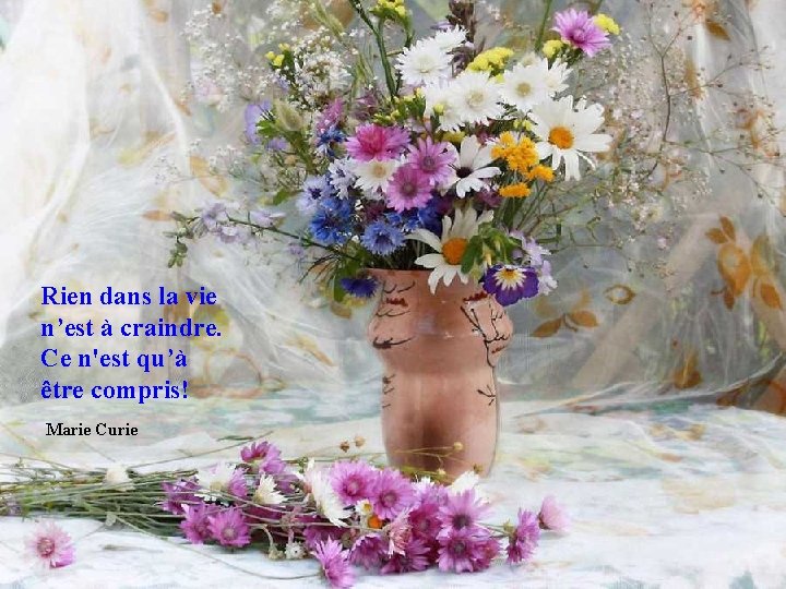 Rien dans la vie n’est à craindre. Ce n'est qu’à être compris! Marie Curie