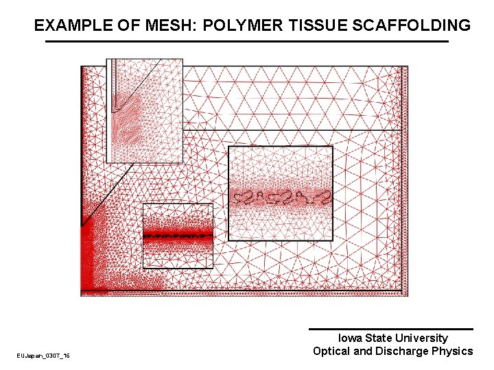 EXAMPLE OF MESH: POLYMER TISSUE SCAFFOLDING EUJapan_0307_16 Iowa State University Optical and Discharge Physics