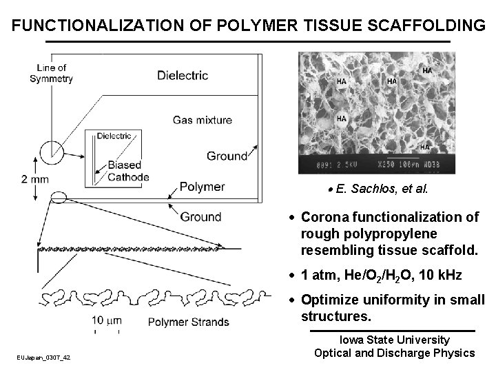 FUNCTIONALIZATION OF POLYMER TISSUE SCAFFOLDING E. Sachlos, et al. · Corona functionalization of rough