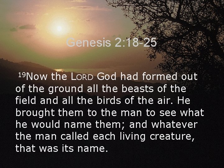 Genesis 2: 18 -25 19 Now the LORD God had formed out of the