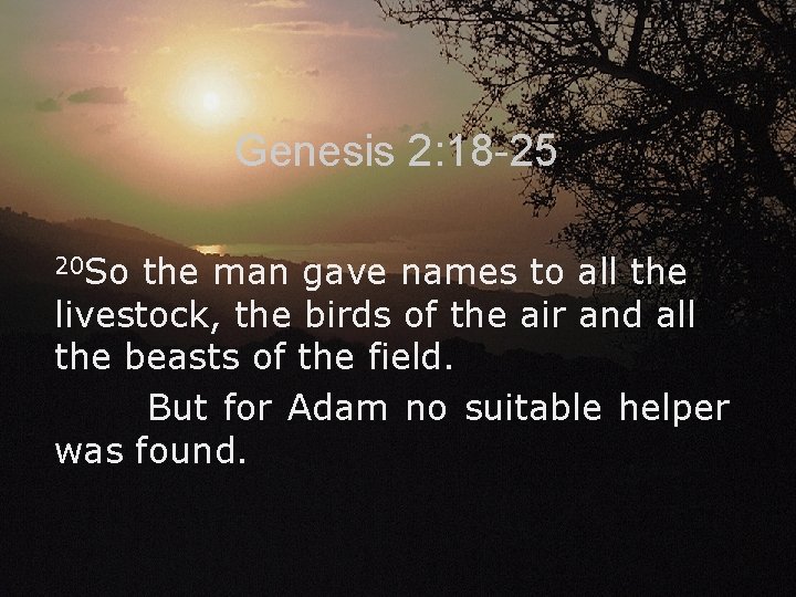 Genesis 2: 18 -25 20 So the man gave names to all the livestock,