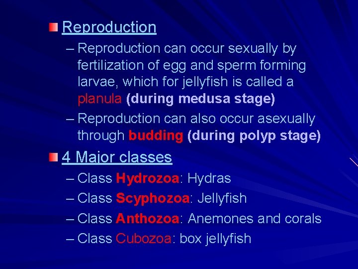Reproduction – Reproduction can occur sexually by fertilization of egg and sperm forming larvae, Reproduction – Reproduction can occur sexually by fertilization of egg and sperm forming larvae,