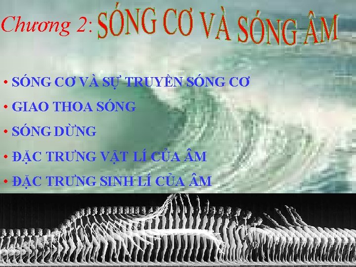 Chương 2: • SÓNG CƠ VÀ SỰ TRUYỀN SÓNG CƠ • GIAO THOA SÓNG