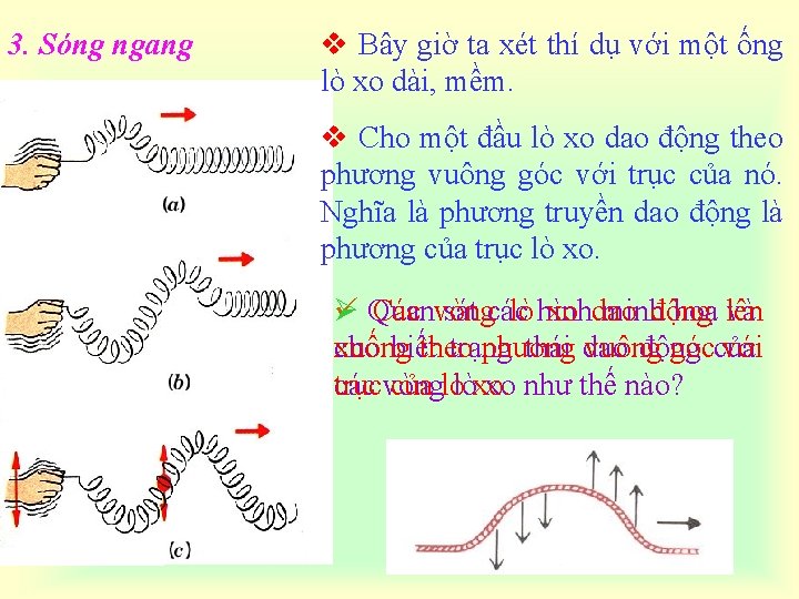 3. Sóng ngang v Bây giờ ta xét thí dụ với một ống lò