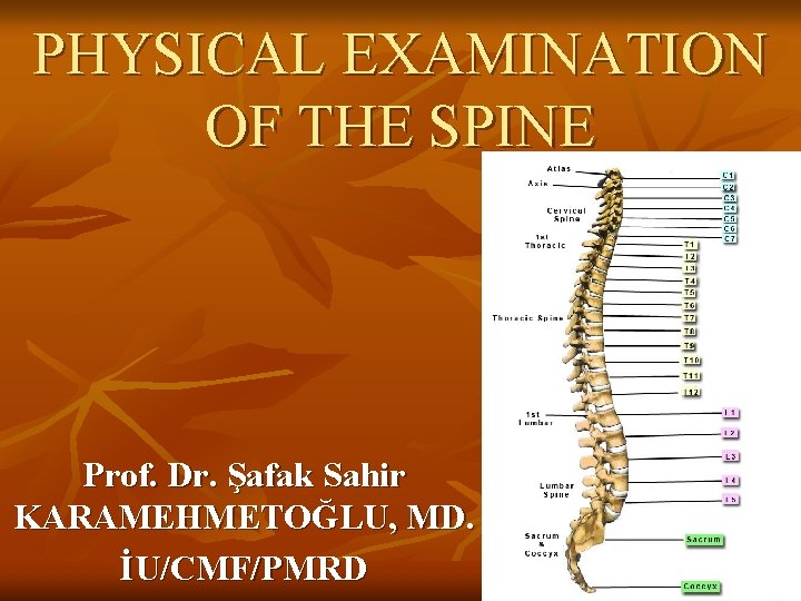 PHYSICAL EXAMINATION OF THE SPINE Prof. Dr. Şafak Sahir KARAMEHMETOĞLU, MD. İU/CMF/PMRD 