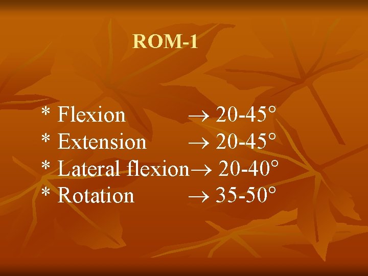 ROM-1 * Flexion 20 -45° * Extension 20 -45° * Lateral flexion 20 -40°