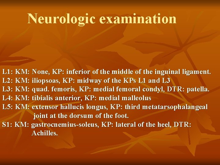 Neurologic examination L 1: KM: None, KP: inferior of the middle of the inguinal