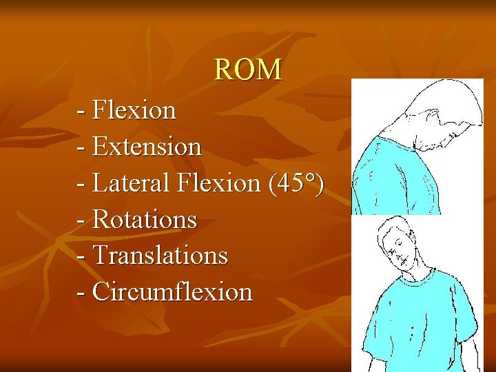 ROM - Flexion - Extension - Lateral Flexion (45°) - Rotations - Translations -