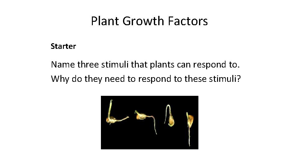 Plant Growth Factors Starter Name three stimuli that plants can respond to. Why do