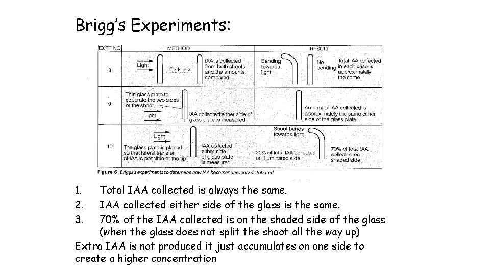 Brigg’s Experiments: 1. 2. 3. Total IAA collected is always the same. IAA collected