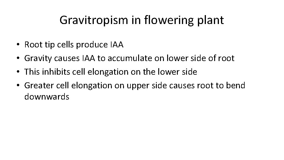 Gravitropism in flowering plant • • Root tip cells produce IAA Gravity causes IAA