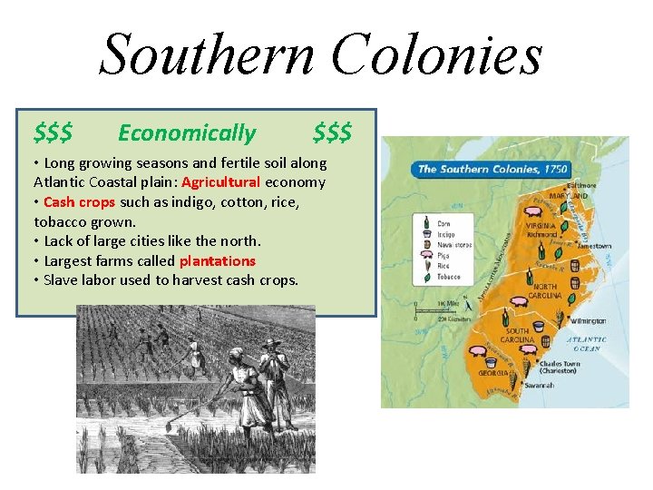 Southern Colonies $$$ Economically $$$ • Long growing seasons and fertile soil along Atlantic