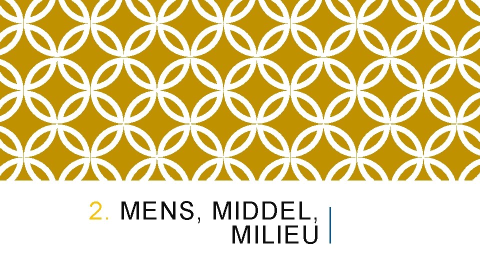 2. MENS, MIDDEL, MILIEU 