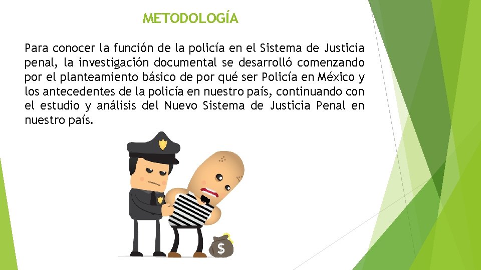 METODOLOGÍA Para conocer la función de la policía en el Sistema de Justicia penal,
