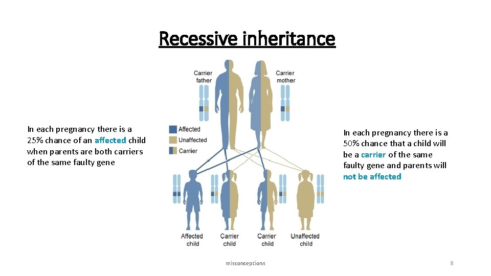 Recessive inheritance In each pregnancy there is a 25% chance of an affected child