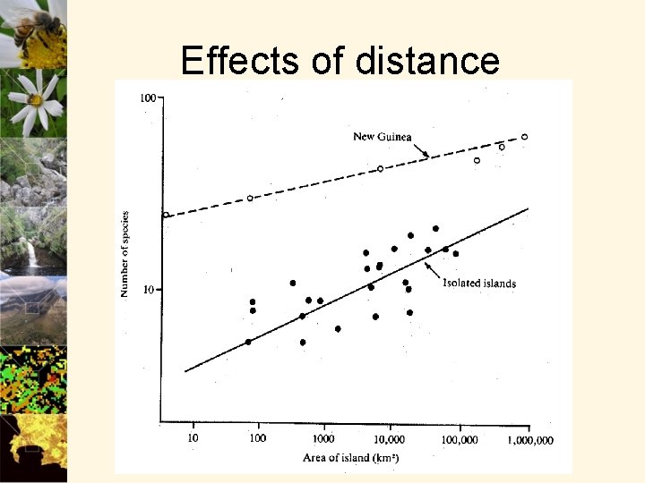Environmental Distance BCB 322 Landscape Ecology Lecture 3 Theories Models