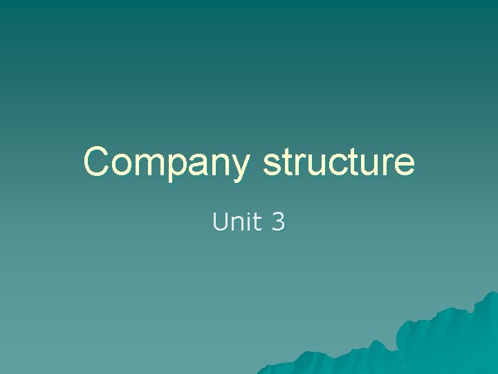 Company structure Unit 3 