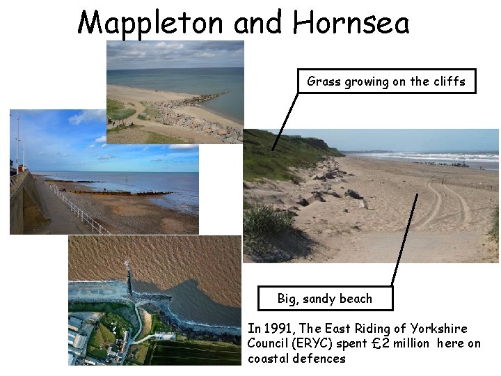 Mappleton and Hornsea Grass growing on the cliffs Big, sandy beach In 1991, The