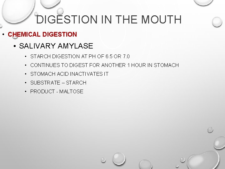 DIGESTION IN THE MOUTH • CHEMICAL DIGESTION • SALIVARY AMYLASE • STARCH DIGESTION AT