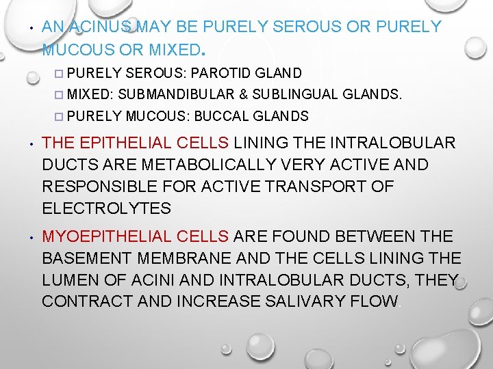  • AN ACINUS MAY BE PURELY SEROUS OR PURELY MUCOUS OR MIXED. ¨