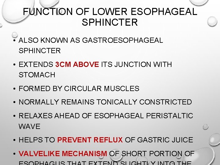 FUNCTION OF LOWER ESOPHAGEAL SPHINCTER • ALSO KNOWN AS GASTROESOPHAGEAL SPHINCTER • EXTENDS 3