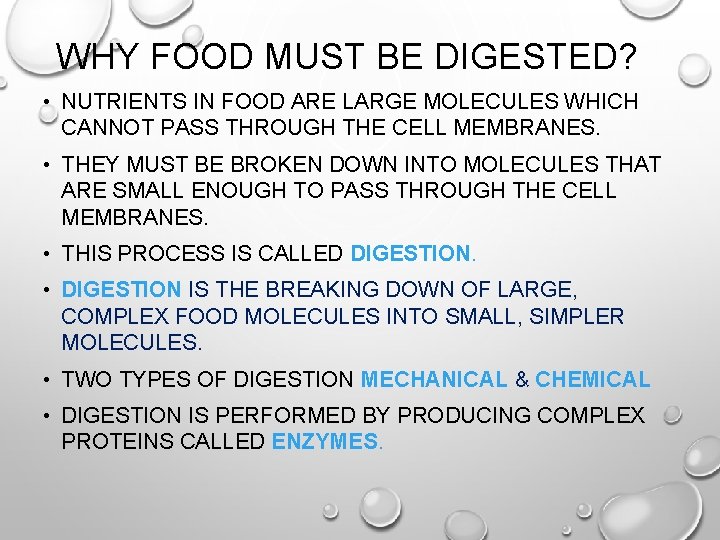 WHY FOOD MUST BE DIGESTED? • NUTRIENTS IN FOOD ARE LARGE MOLECULES WHICH CANNOT