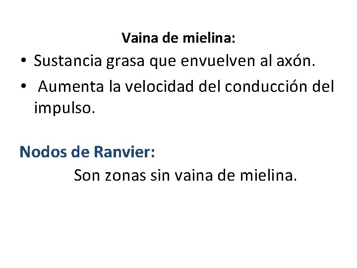 Vaina de mielina: • Sustancia grasa que envuelven al axón. • Aumenta la velocidad Vaina de mielina: • Sustancia grasa que envuelven al axón. • Aumenta la velocidad