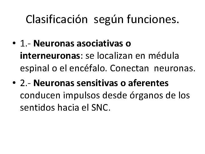 Clasificación según funciones. • 1. - Neuronas asociativas o interneuronas: se localizan en médula Clasificación según funciones. • 1. - Neuronas asociativas o interneuronas: se localizan en médula