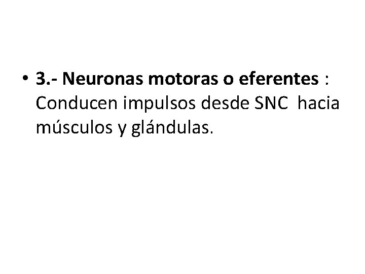 • 3. - Neuronas motoras o eferentes : Conducen impulsos desde SNC hacia • 3. - Neuronas motoras o eferentes : Conducen impulsos desde SNC hacia