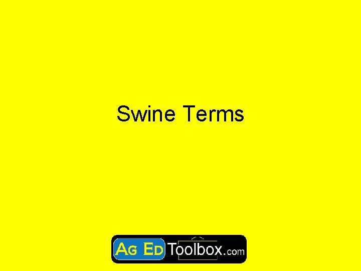 Swine Terms 