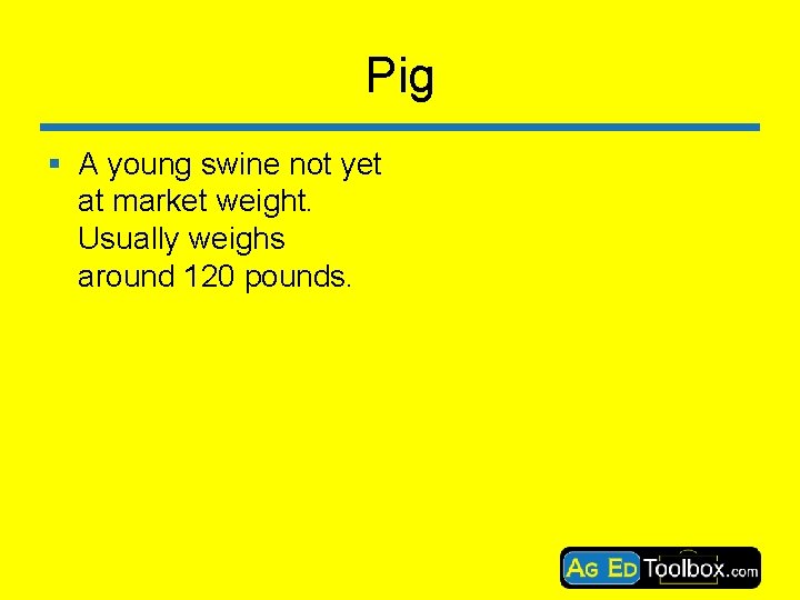 Pig § A young swine not yet at market weight. Usually weighs around 120