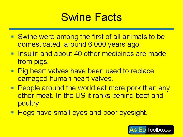 Swine Facts § Swine were among the first of all animals to be domesticated,