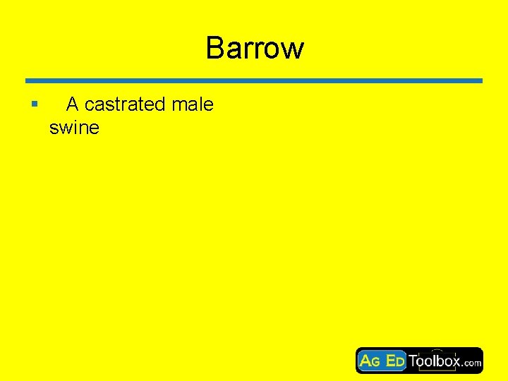 Barrow § A castrated male swine 